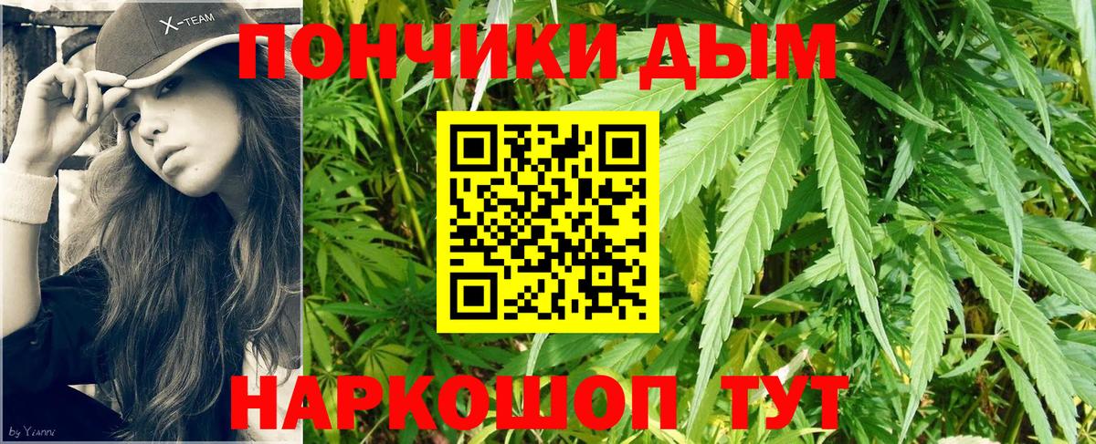 Бийск  Бошки марихуана сатива  Марихуана конопля  Вход с VPN 